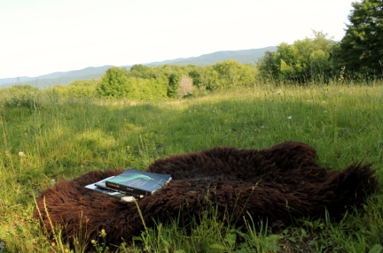 Screen Shot 2015-07-03 at 7.59.48 PM