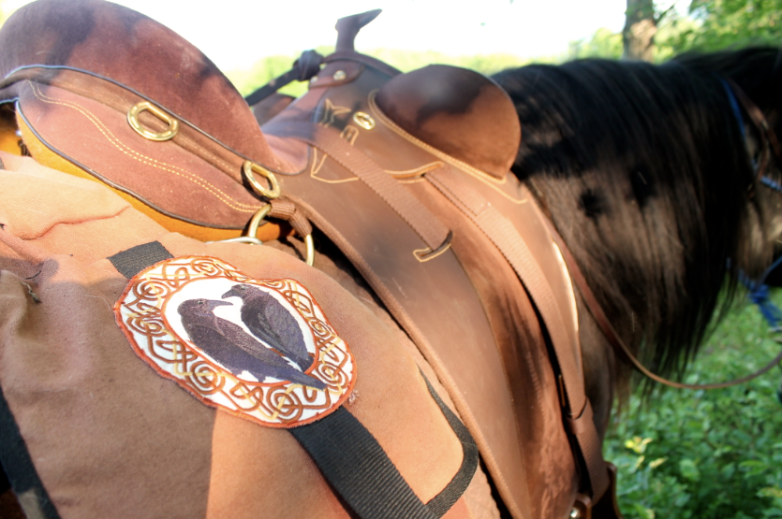 Screen Shot 2015-07-03 at 8.00.15 PM